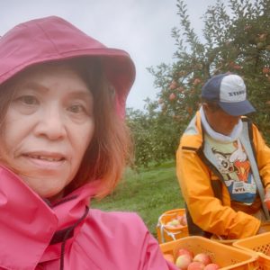 寝不足の目が疲れ気味