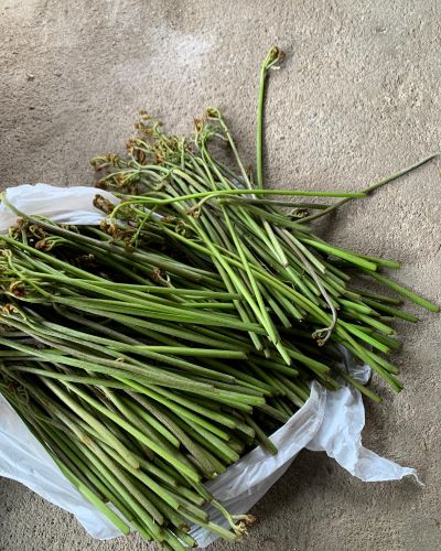 さんさいがぞう