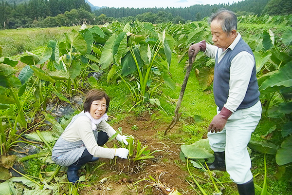 農家民宿　はちみつ屋