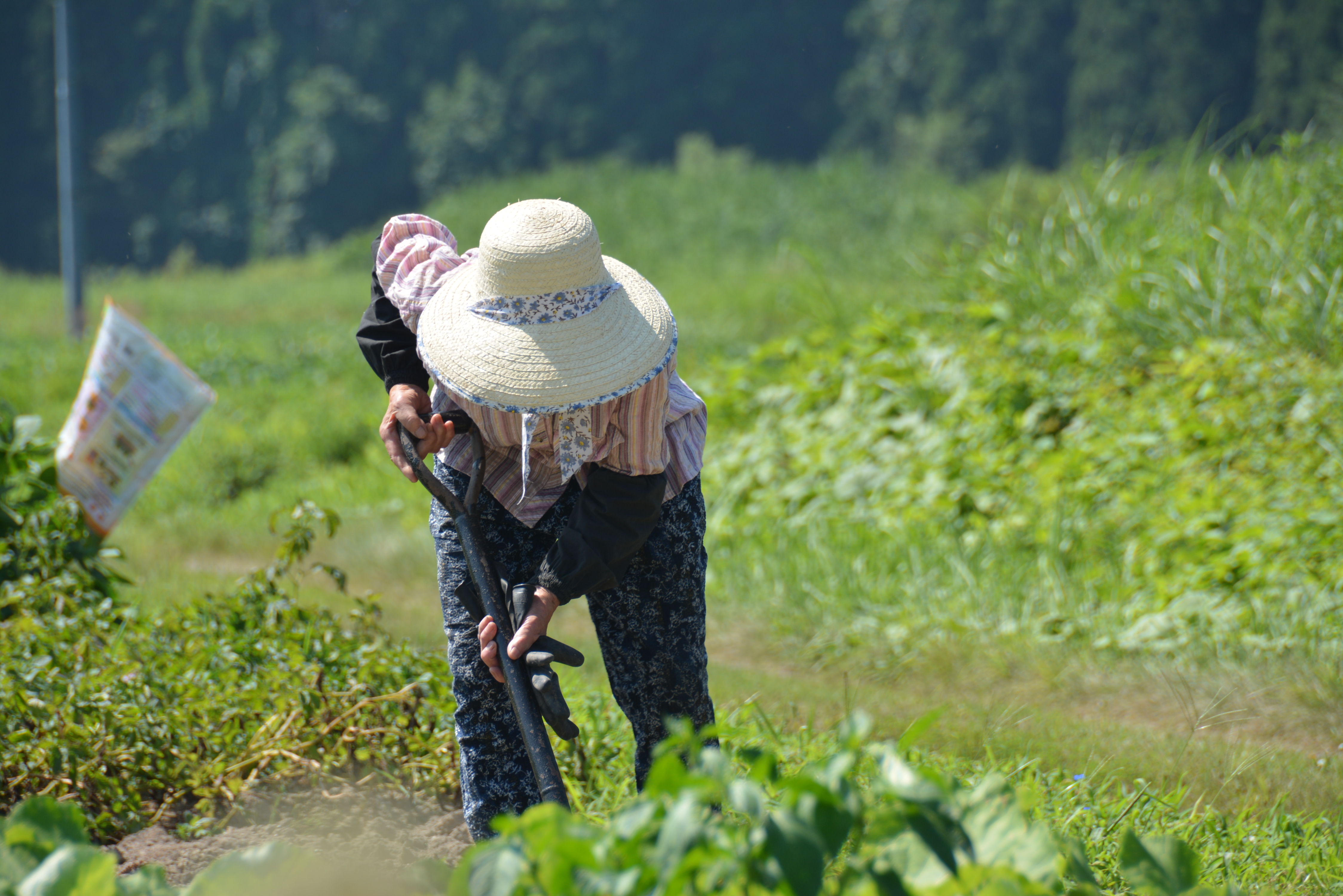 畑と暮らす　農家民宿 果菜里庵