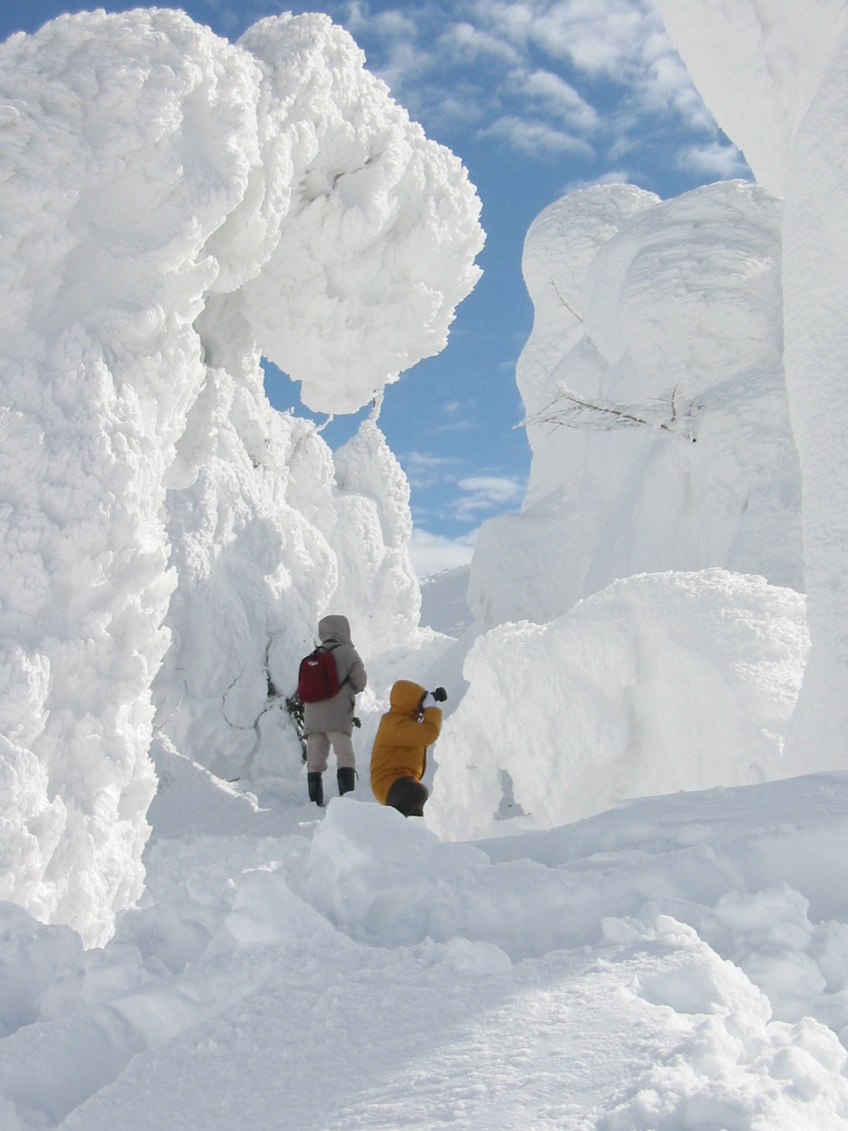 冬期の農家民宿　雪情報！