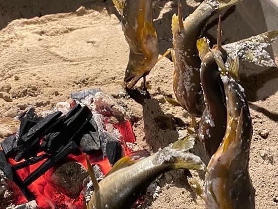 山菜の初物が桜満開の季節と重なりました(^^♪