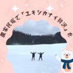 冬限定　特別企画参加募集中