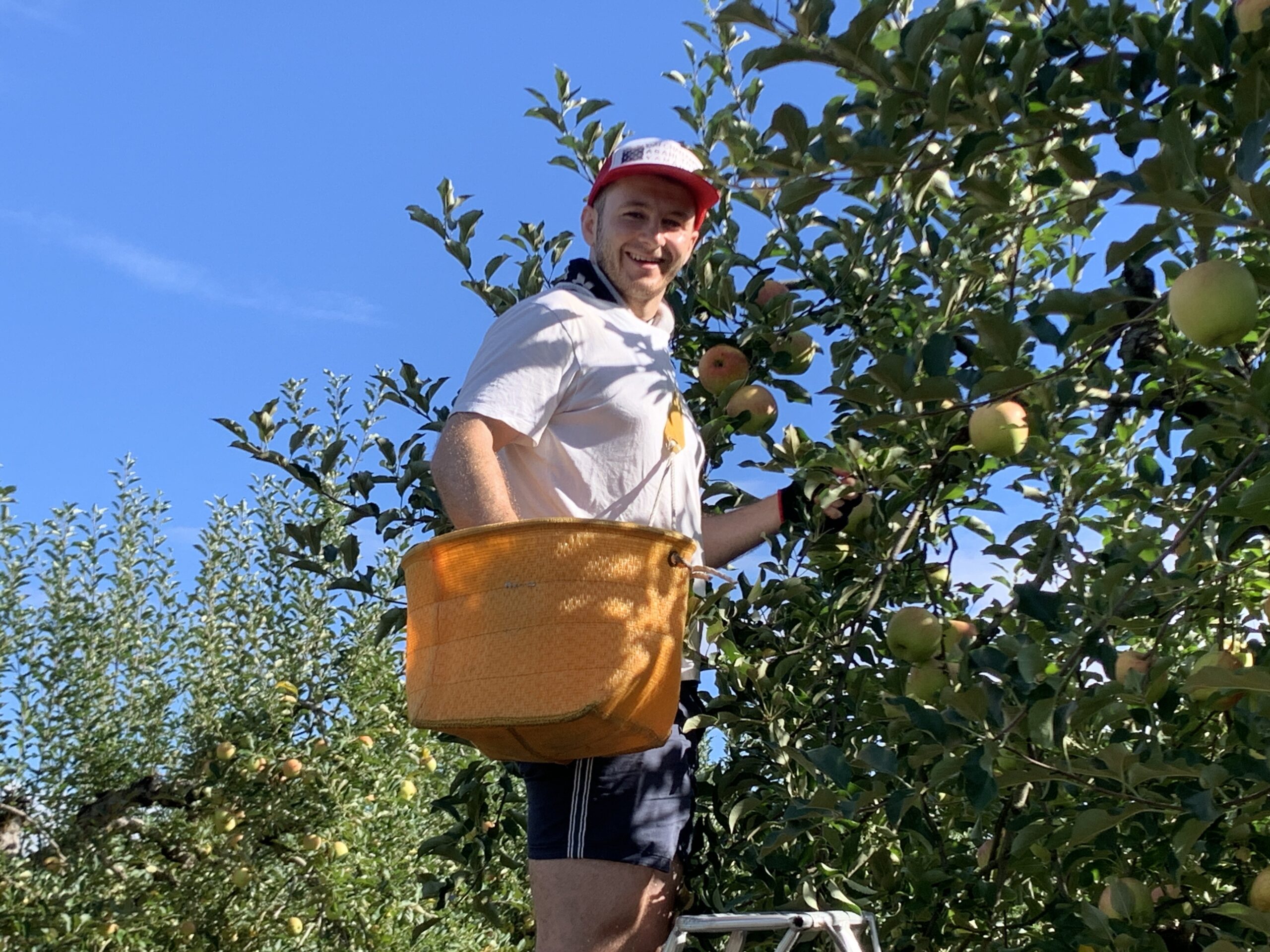 英国のナイスガイ