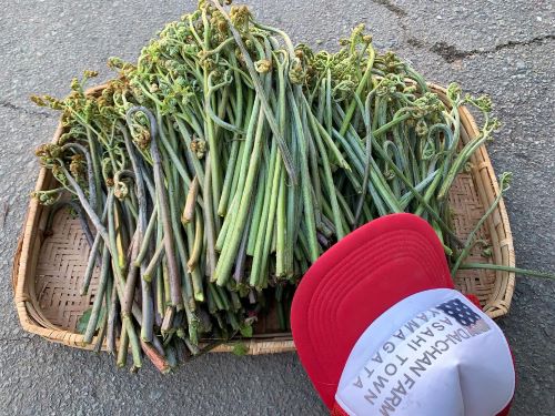 春のおすすめ企画募集中です！