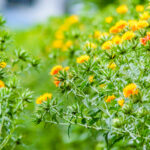 モデルコースをご紹介