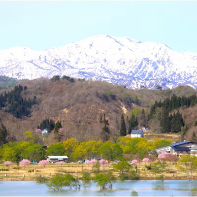 ふるさと納税　お礼品