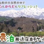 ふるさと納税　お礼の品について