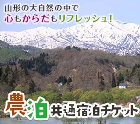 ふるさと納税　お礼の品について