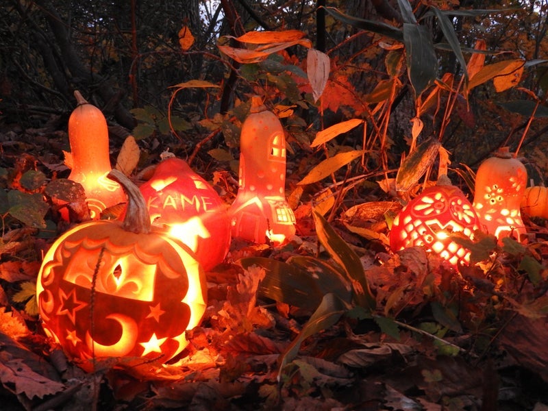 まるっとASAHI！エンジョイ！蜜ろう＆ガストロノミー