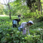 【やまがた的田舎旅】尾花沢ほその村で 春の味を堪能しよう！