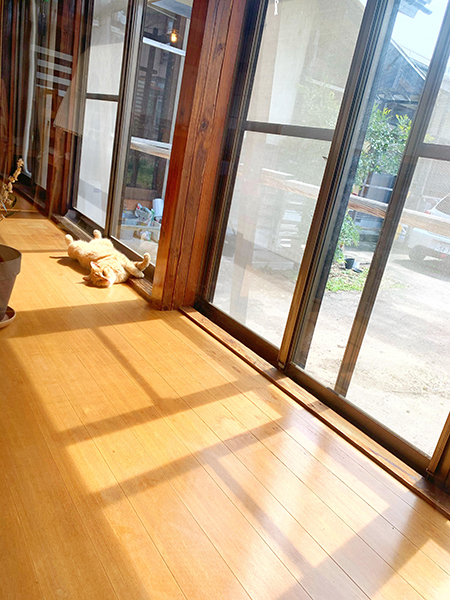 Craft Studio and Guest House FUu~