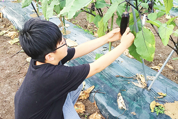 山形ゲストハウス
