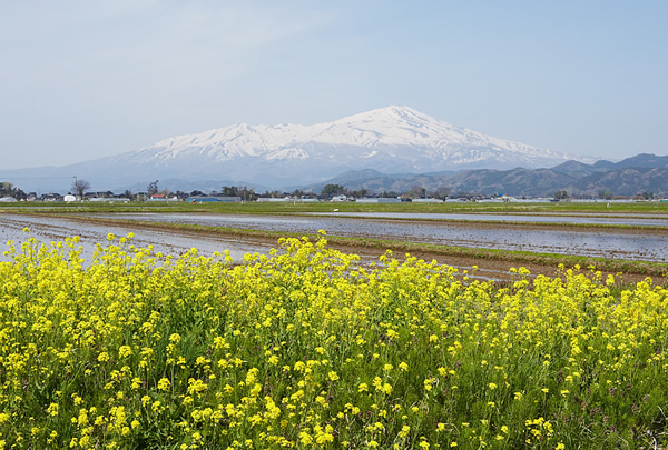 農家民宿　松べえ