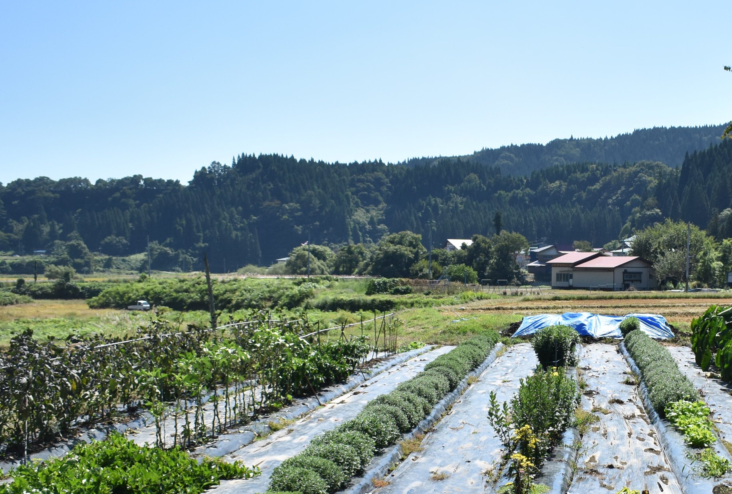 Farmhouse Inn Harukaze
