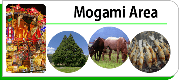 Mogami Area