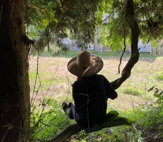 林から野猿の気分になって宿眺め